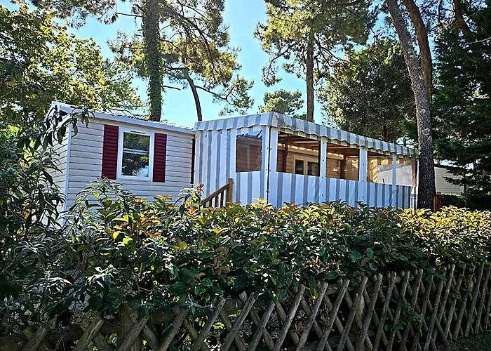 Naphtase - Mh01S - Le Refuge Des Pins