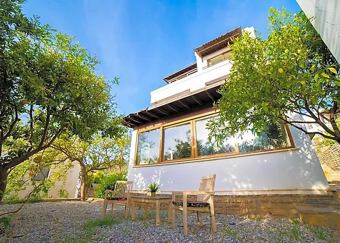 Dolphin Villa