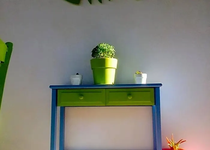 Viva Margarita