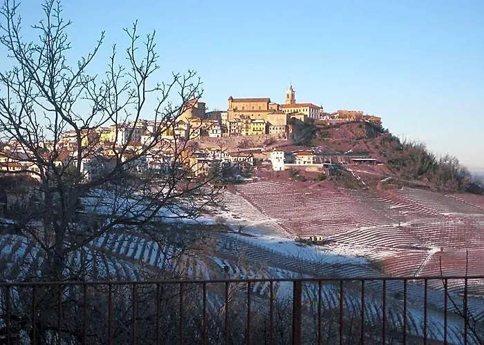 Red Wine Camere