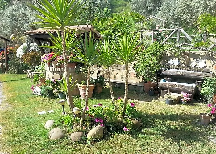 Agriturismo L'Uliveto