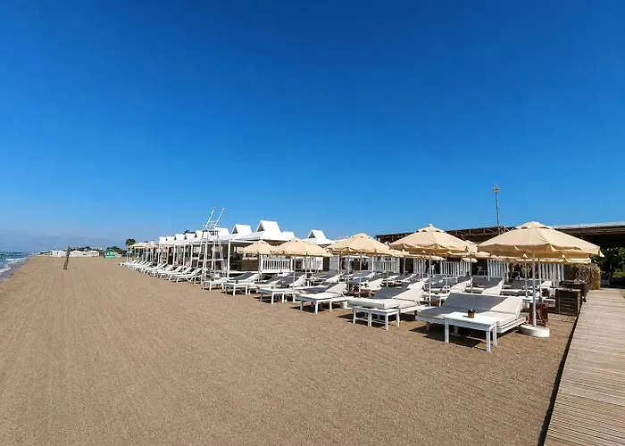 Echinus Blue Hotel
