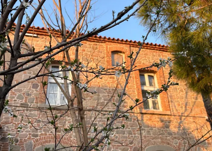 Yasa'S Guest House