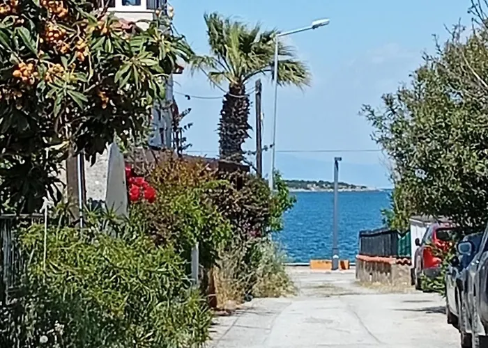 Dal Urla