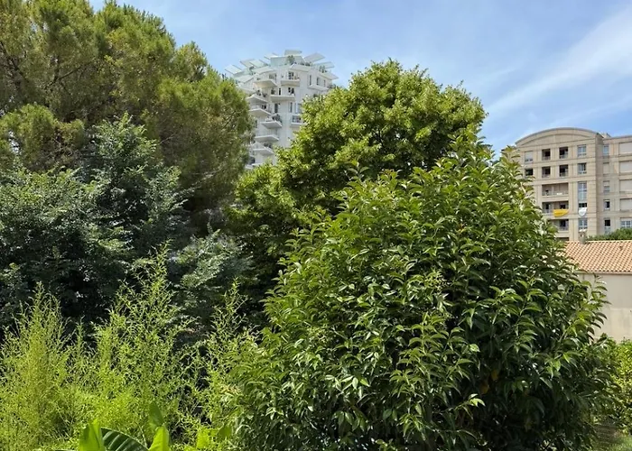 Maison De Ville Rez-De-Chaussee Avec Piscine Face A L'Arbre
