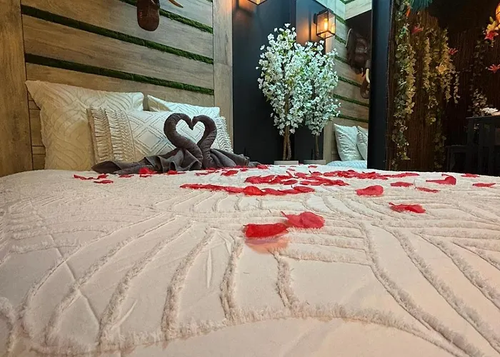 Love Room Jungle Saint-Cyr-Sur-Mer