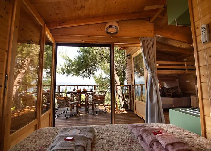 The Treehouse Project