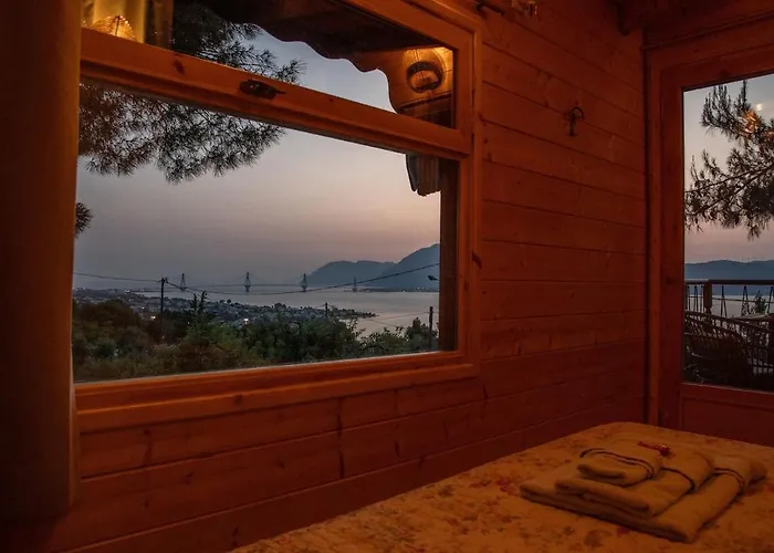 The Treehouse Project