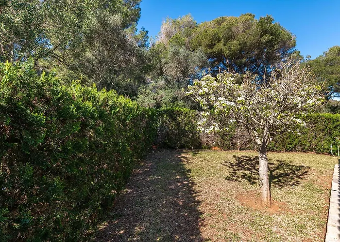 Villa Florentina By Mallorca House Rent