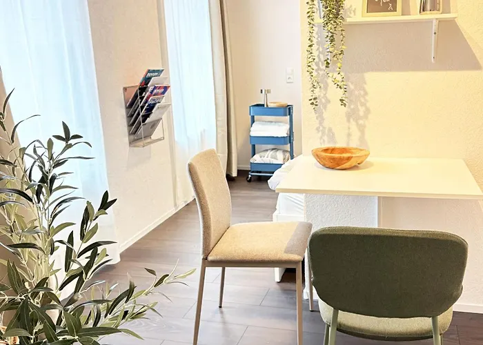 Modernes City Apartment Hockenheim Zentrum Nahe Hockenheimring Mit 2 Betten, Wlan & Kitchenette