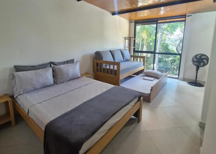 Loft Da Arvore