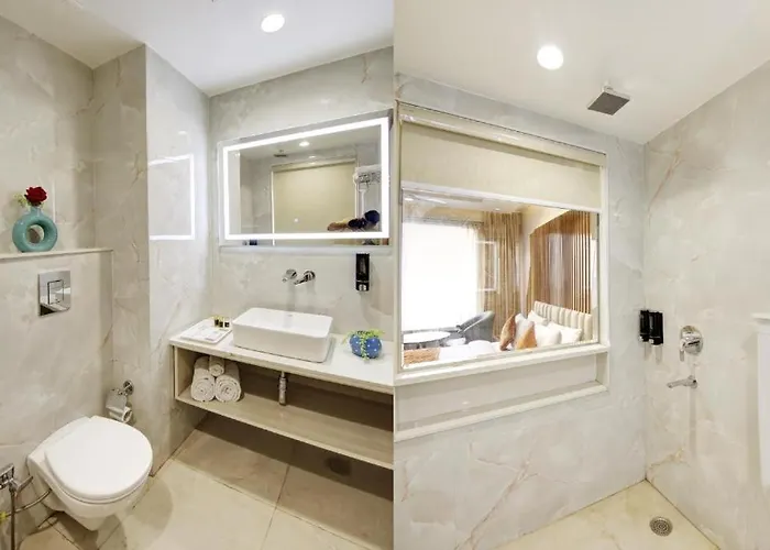 Hotel Loft Plaza New Delh