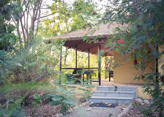 Jim'S Jungle Retreat
