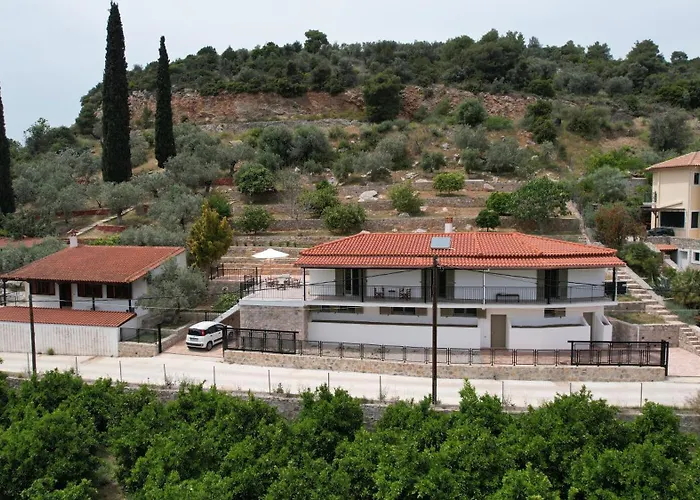 Olive Hill