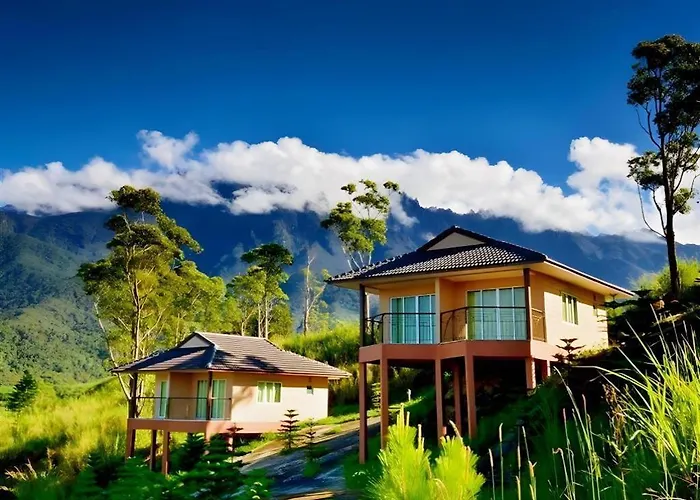 Dream World Resort