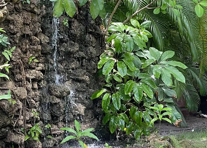 Los Corales Condo-Hotel With Villas & Suites Wifi Bbq Beach Club & Spa