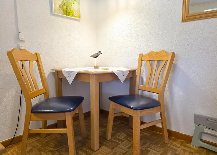 Gezellige Vakantiewoning Dichtbij Centrum Domburg Do20