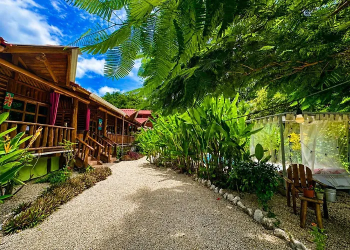 Cabanas Lamaite