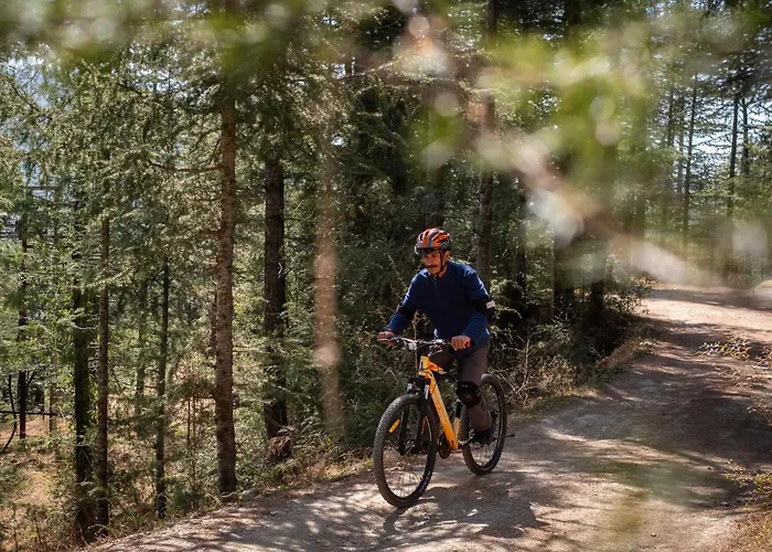 Club Mahindra Pristine Peaks Naldehra