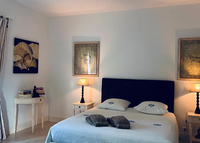 Villa Luxueuse Avec Piscine Sur Les Hauts De Biarritz