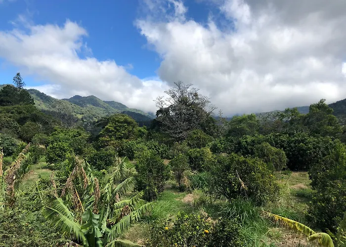 Buena Vista Boquete