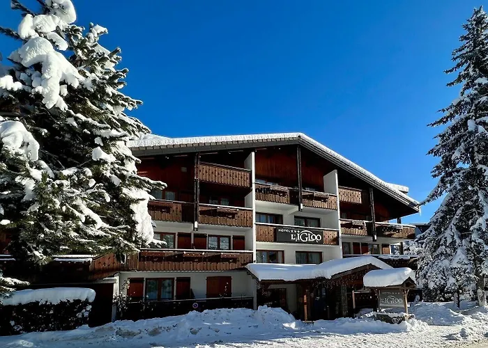 Hotel Igloo