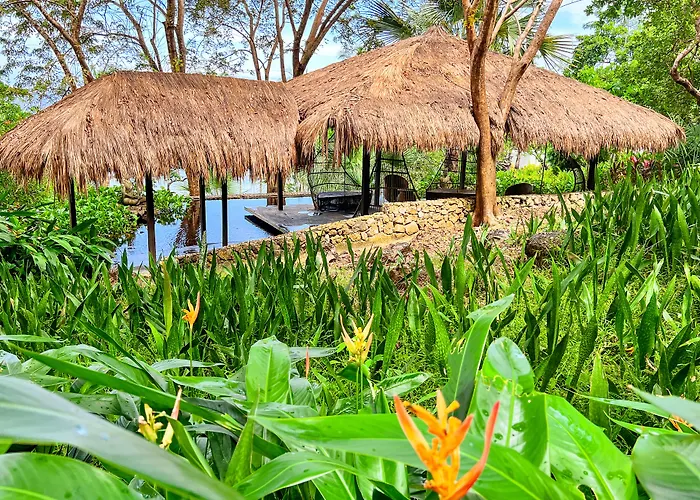 The Dream Beach Resort