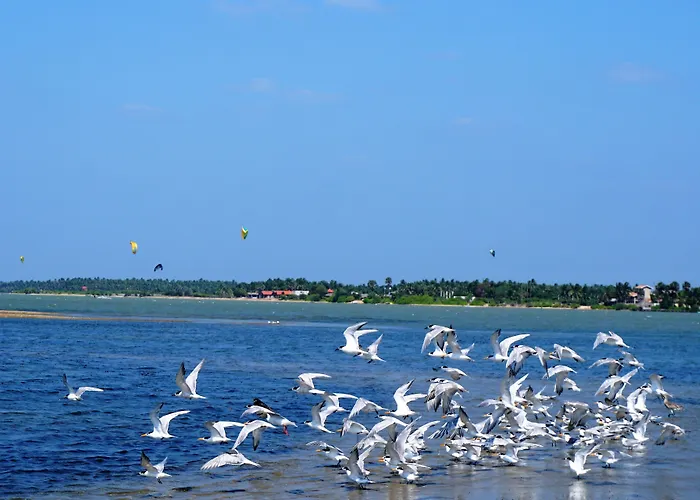 Kitelantis Hotel And Kite Resort