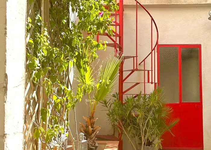 Gite Avignon Bougainvillier