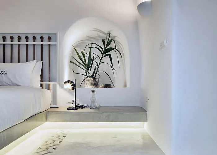 White & Co. La Torre Suites