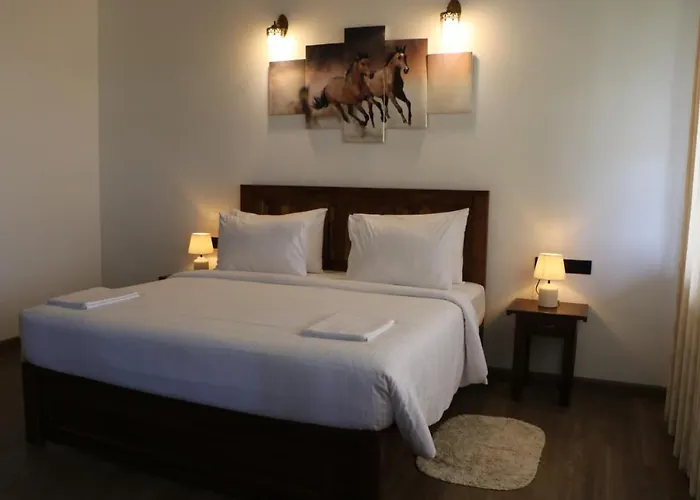Ali Weta Safari Resort