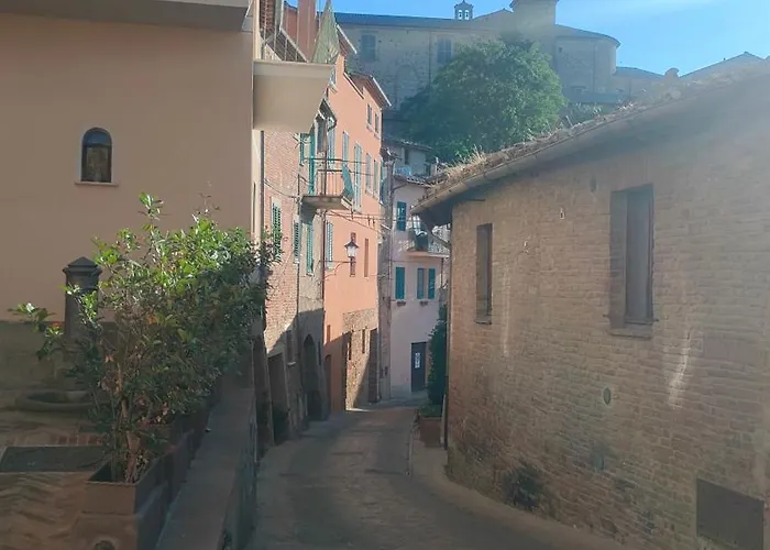 Ciliano 16
