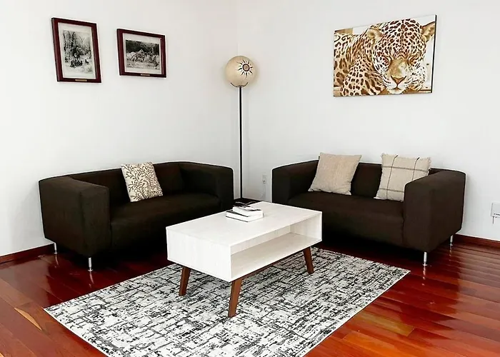 Condesa Residence Amsterdam D Sunny 2Bed 1Bath Apt In Condesa