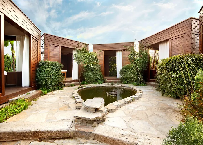 The Lifeco Bodrum Well-Being Detox Center And Vegan Hotel (Adults Only)