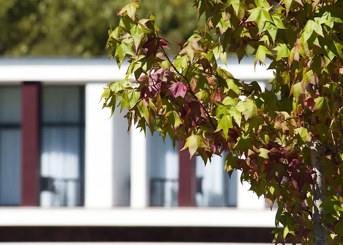 Hotel Parque Serra da Lousã