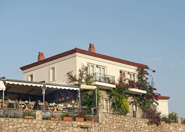 Swan Lake Hotel - Adult Only