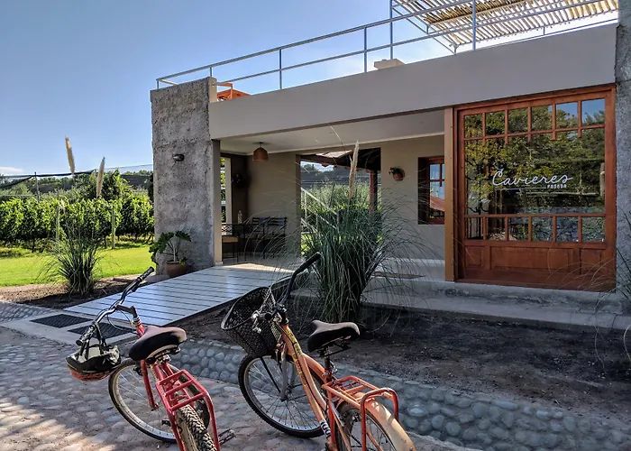 Posada Cavieres Wine Farm