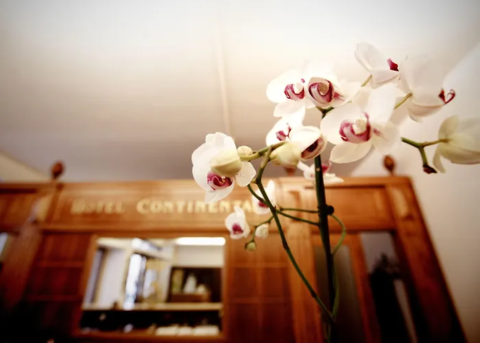 Hotel Continental