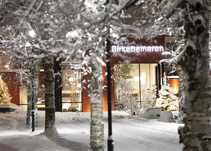 Birkebeineren Hotel & Apartments