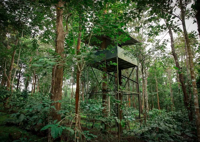 Pugmarks Jungle Resort