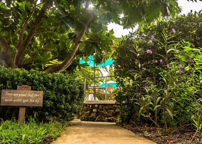 Harbour View Boutique Hotel & Wellness Retreat