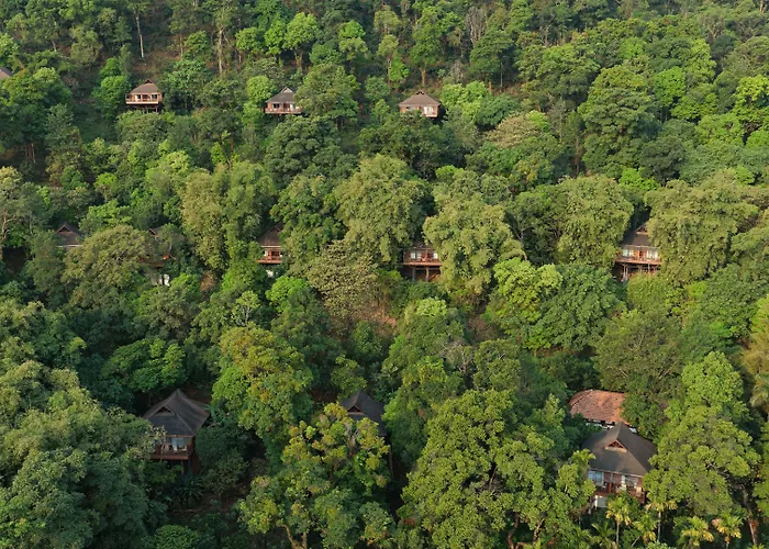 The Tamara Coorg