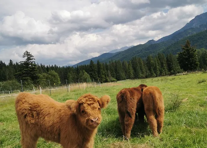 Highland Siedlisko Koscielisko