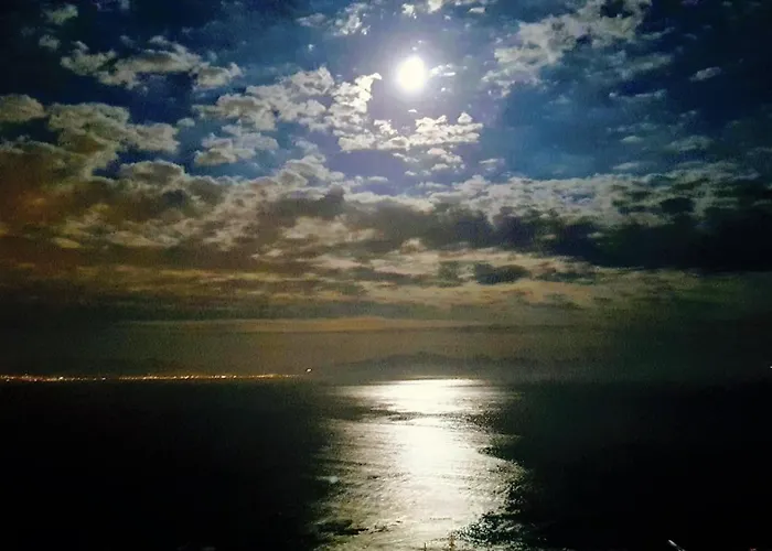 Seaside Serenity