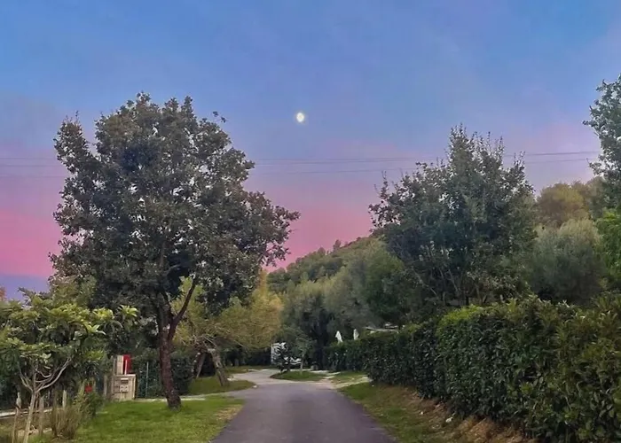 Il Moro Della Molpa