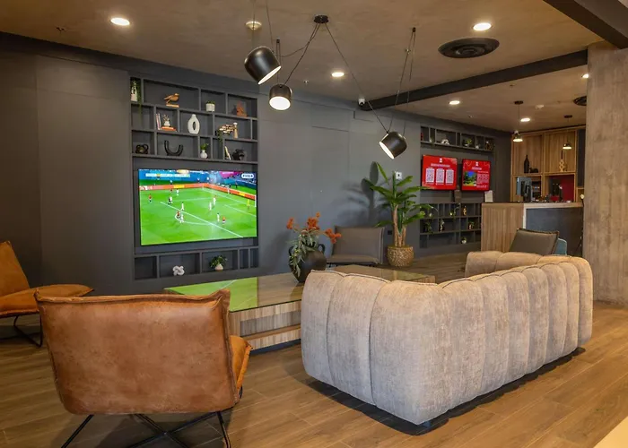 Ibis Hermosillo