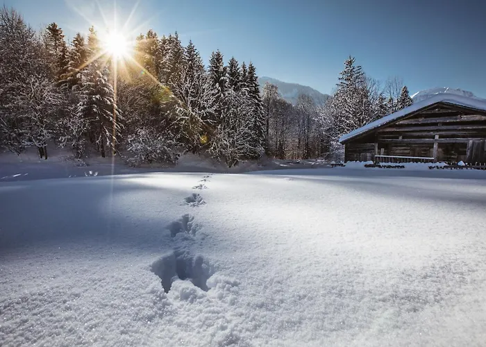 Hotel Alpenrose