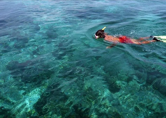 Dolphin Beach Resort - Dolphins, Kitesurfing & Wildlife