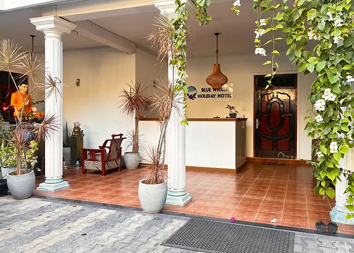 Mirissa Blue Whale Holiday Hotel