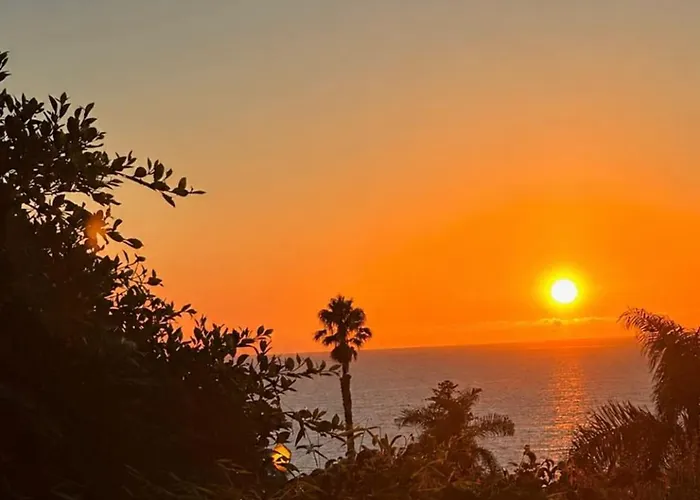 Point Loma Sunset Oasis - Ocean Views & Fire Pit